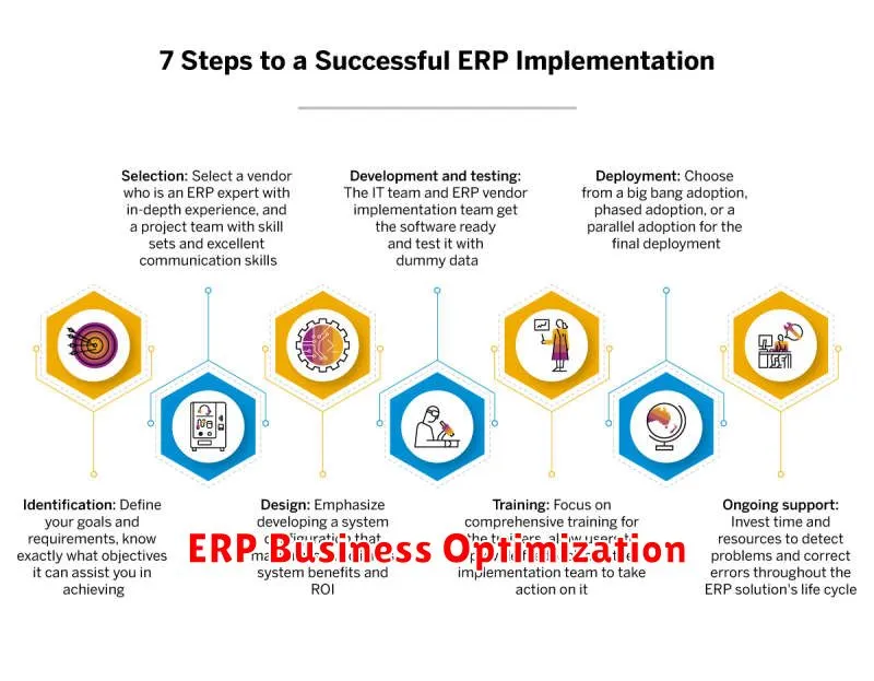 ERP Business Optimization