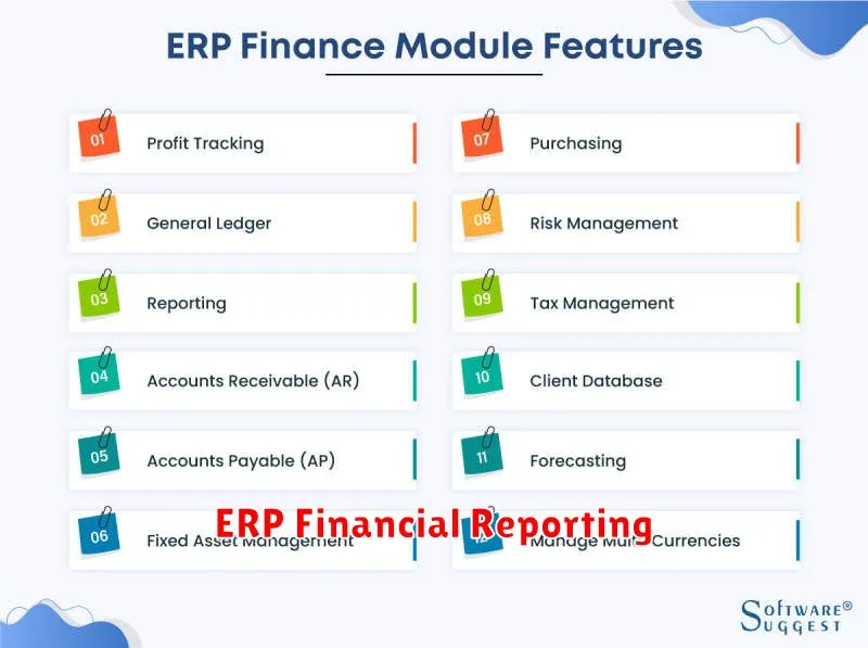 ERP Financial Reporting