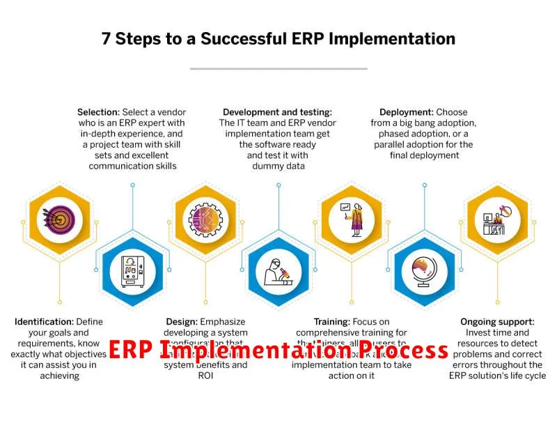 ERP Implementation Process