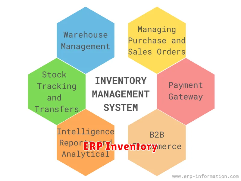 ERP Inventory