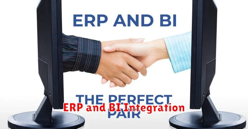 ERP and BI Integration