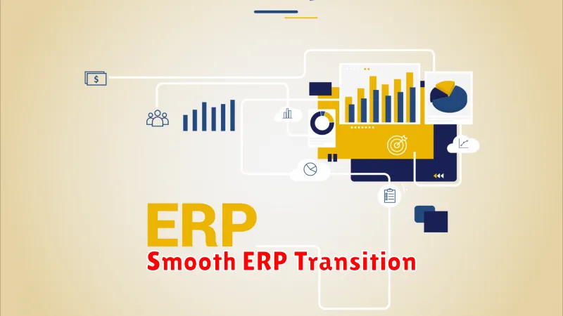 Smooth ERP Transition